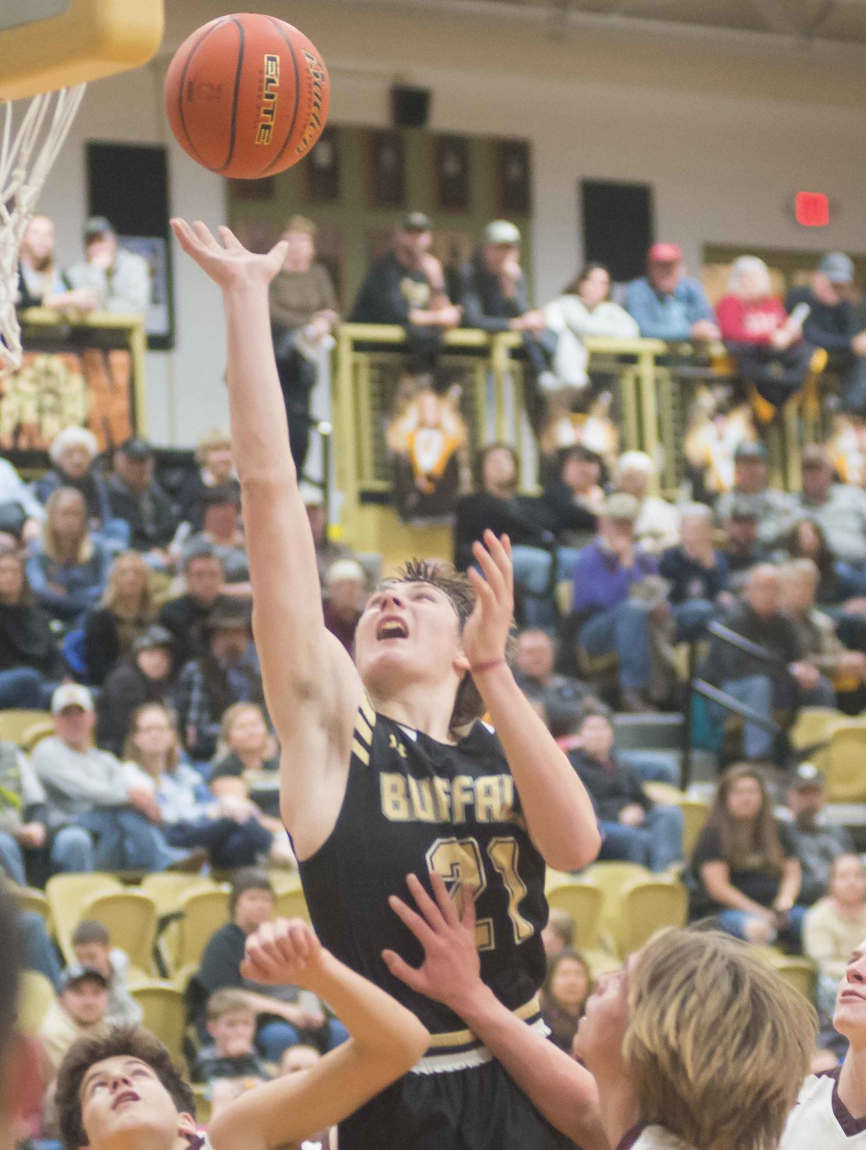Big wins for Bison